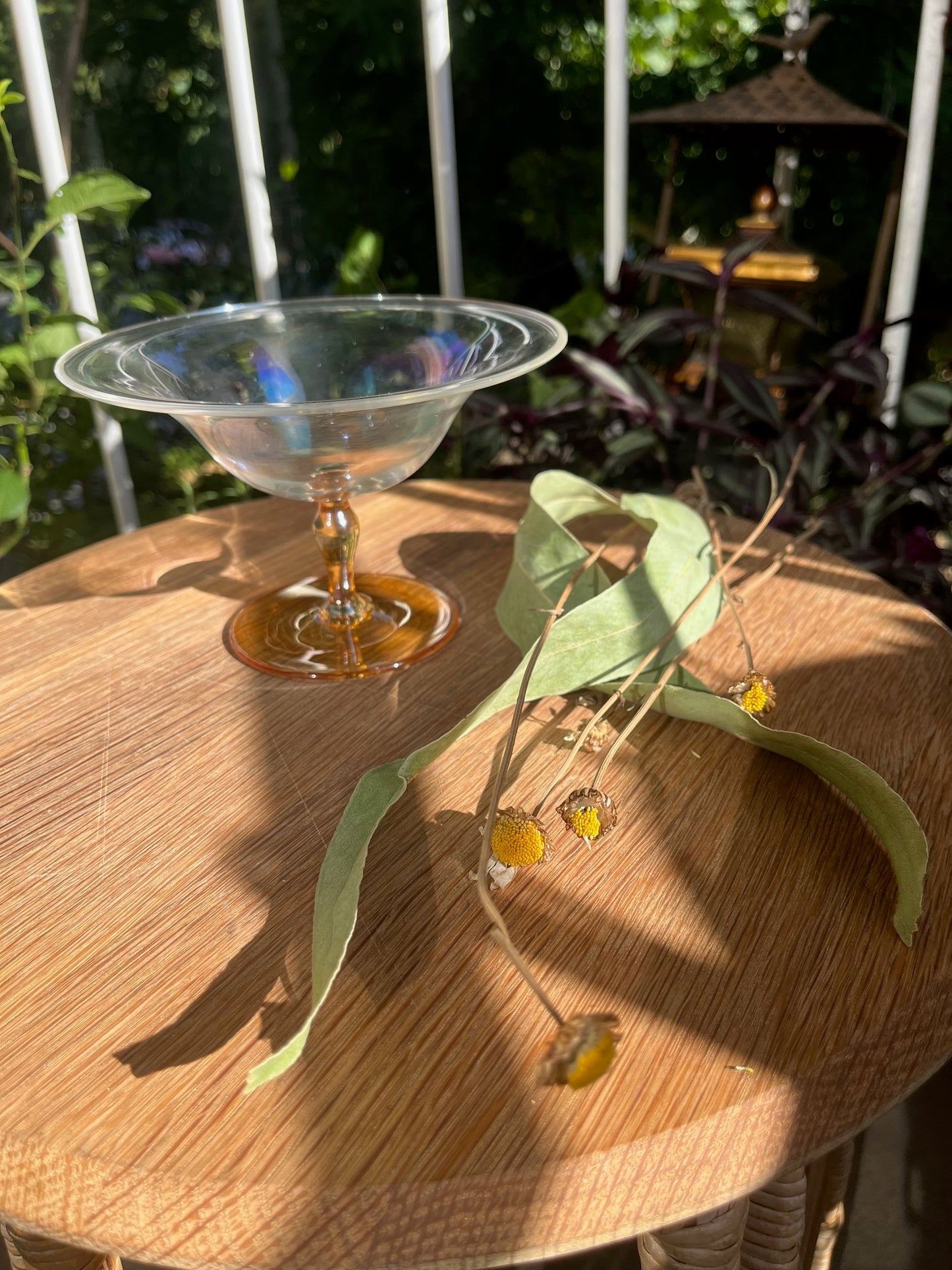 Solar Synchronicity Witch Kit
