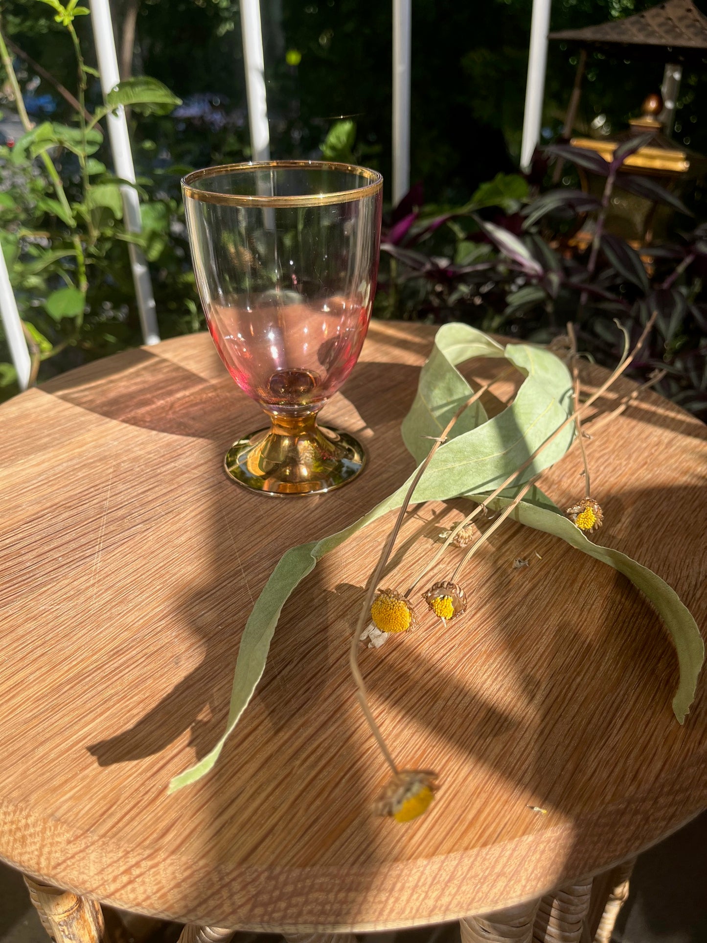 Solar Synchronicity Witch Kit