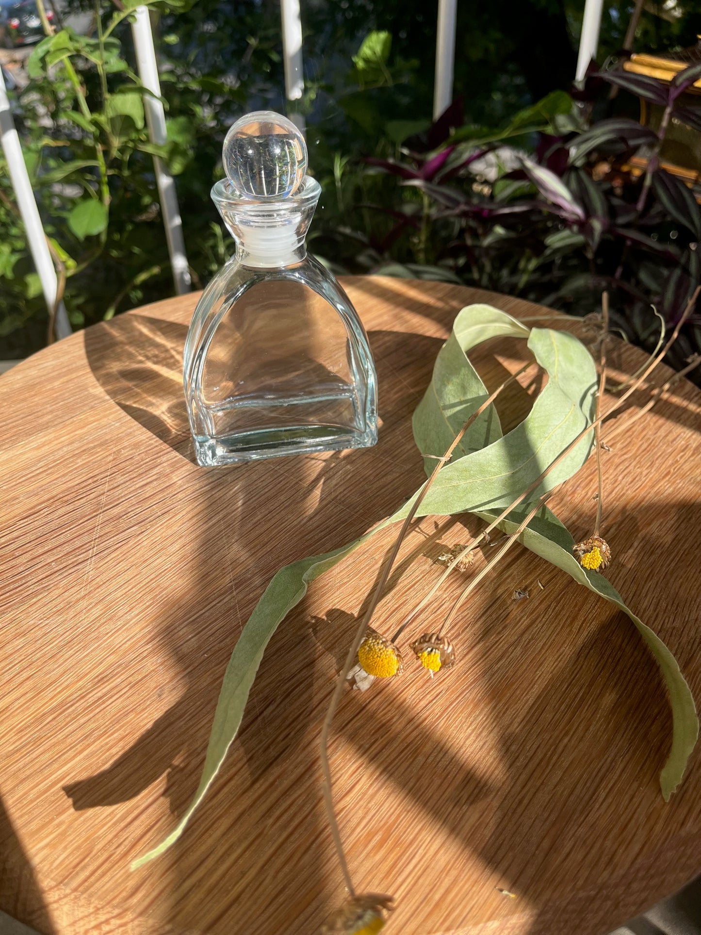 Solar Synchronicity Witch Kit