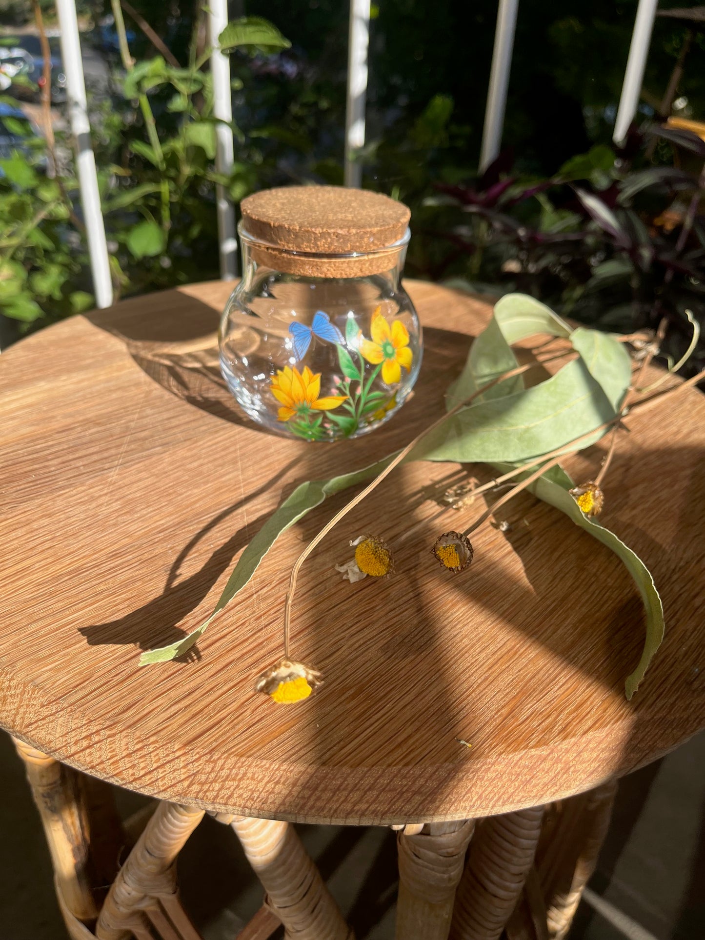 Solar Synchronicity Witch Kit