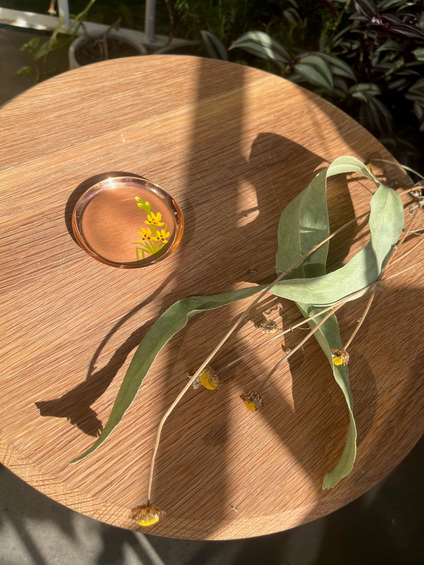 Solar Synchronicity Witch Kit