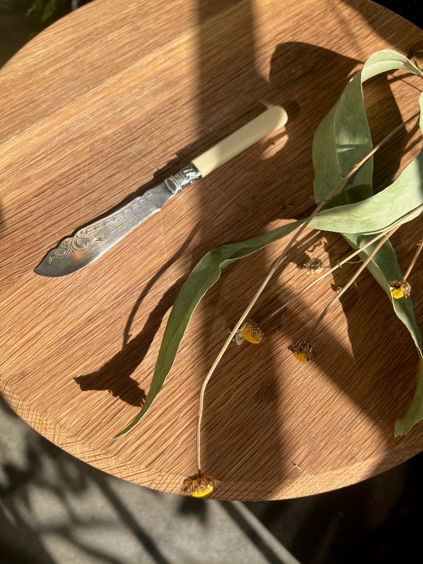 Solar Synchronicity Witch Kit