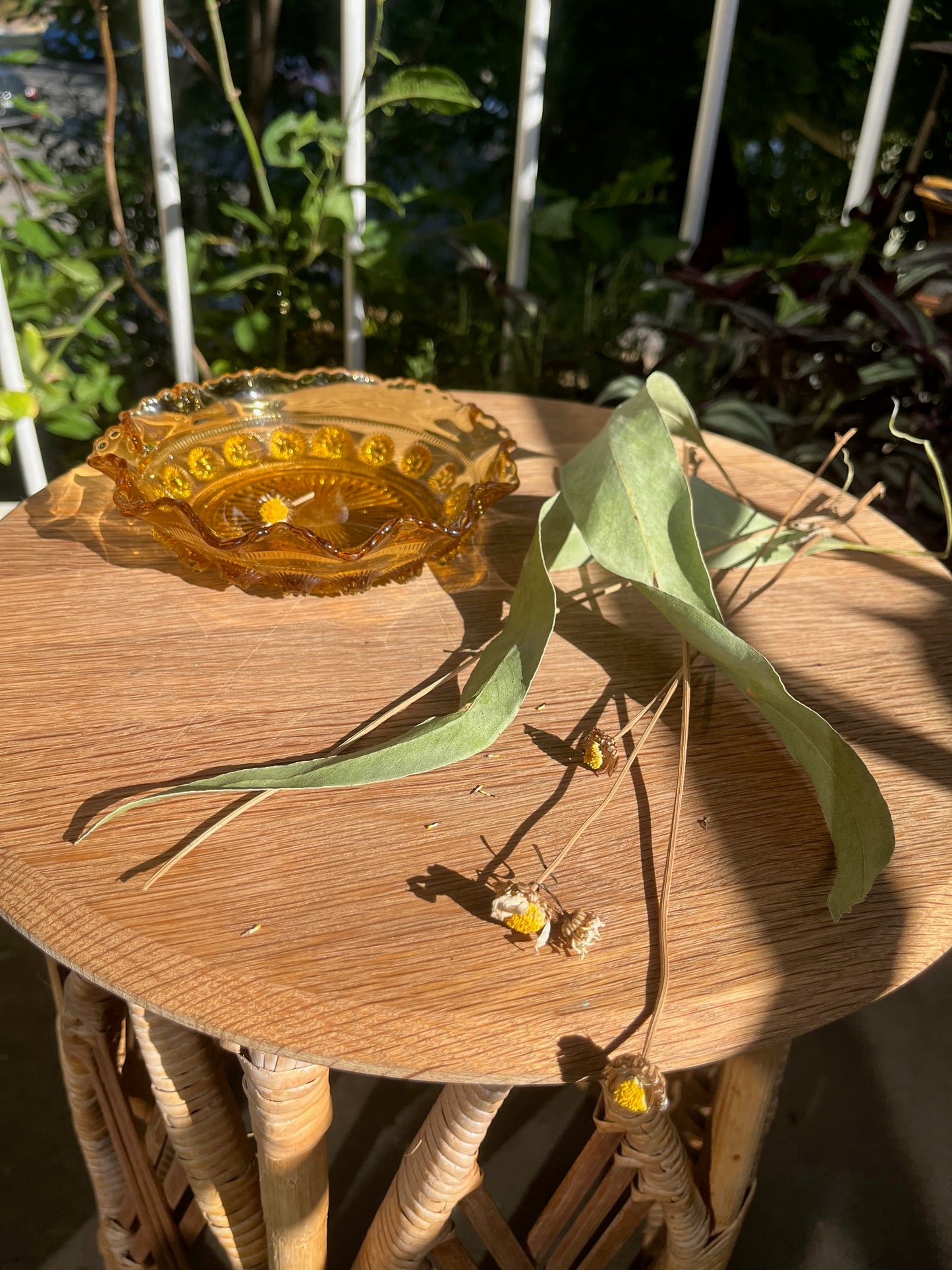 Solar Synchronicity Witch Kit
